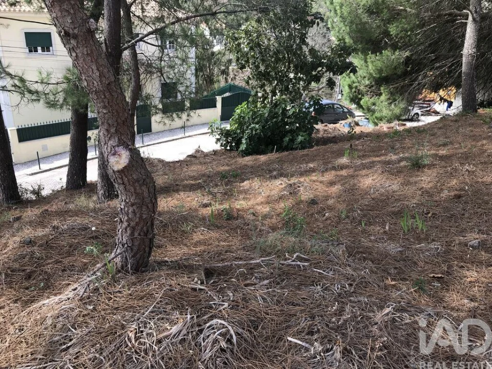 Terreno para Venda em Ramada e Caneças Foto 11