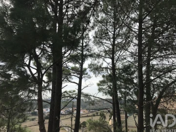 Terreno para Venda em Ramada e Caneças