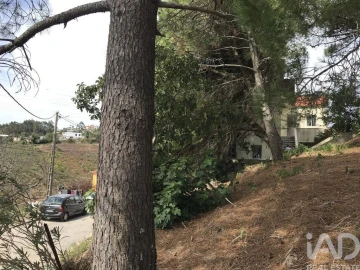 Terreno para Venda em Ramada e Caneças