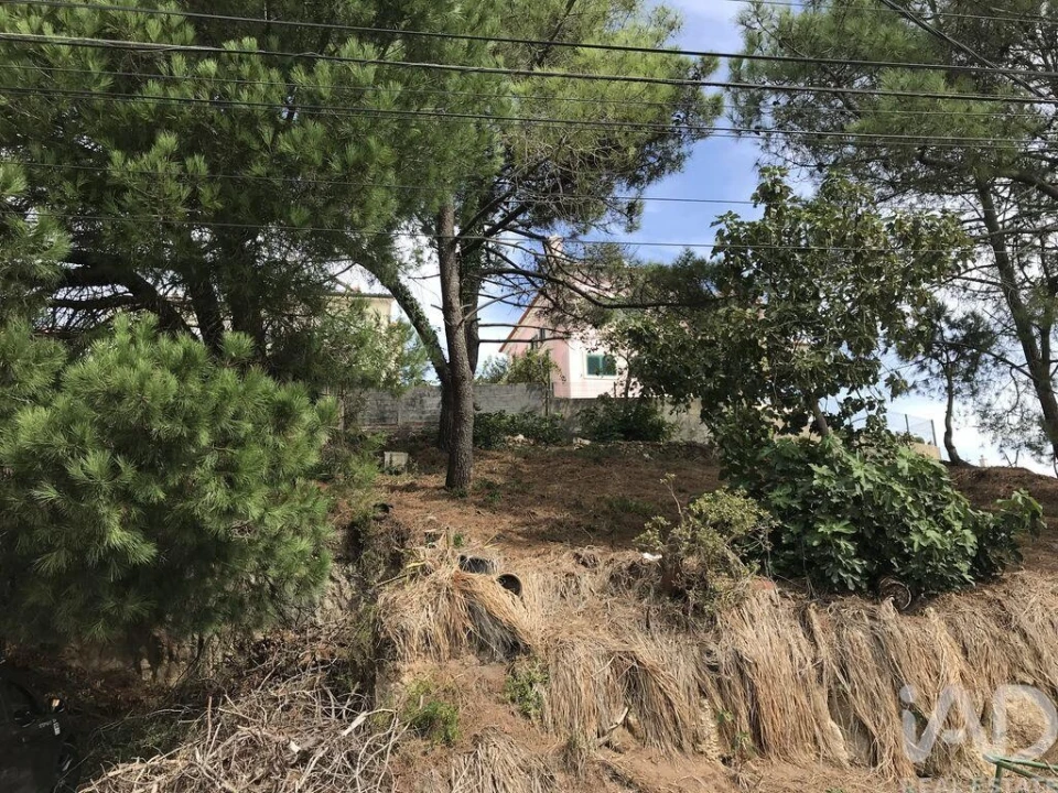 Terreno para Venda em Ramada e Caneças Foto 8