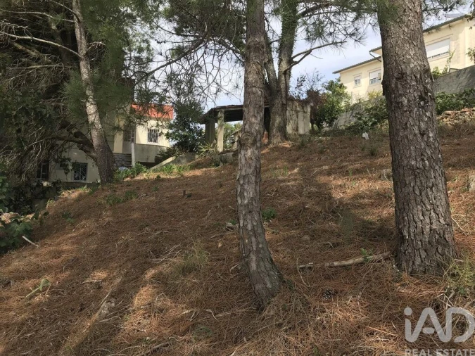 Terreno para Venda em Ramada e Caneças Foto 15
