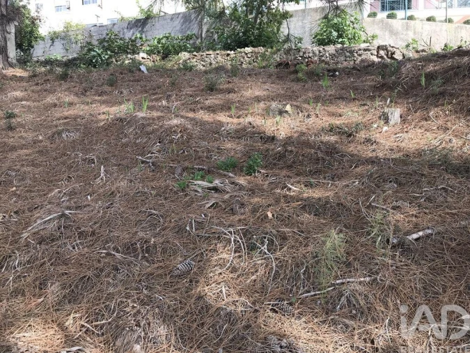 Terreno para Venda em Ramada e Caneças Foto 23