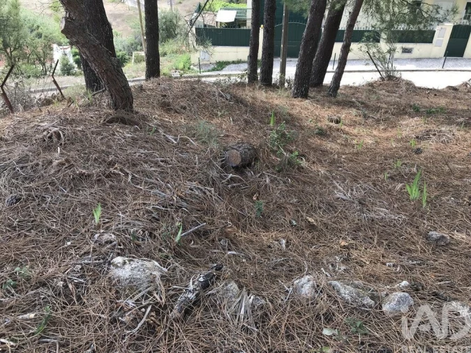 Terreno para Venda em Ramada e Caneças Foto 14