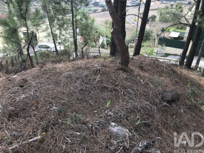 Terreno para Venda em Ramada e Caneças Foto 2