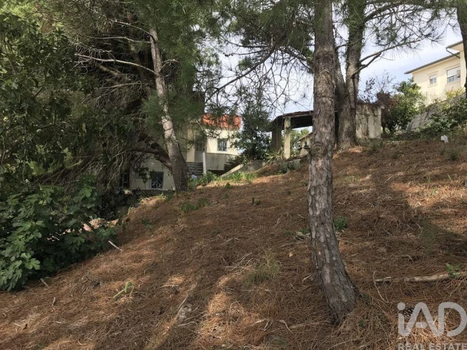 Terreno para Venda em Ramada e Caneças Foto 24