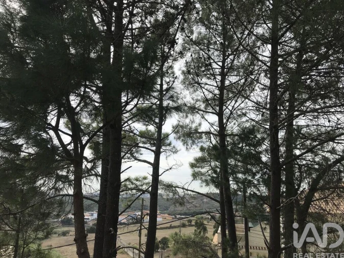 Terreno para Venda em Ramada e Caneças Foto 3