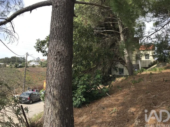 Terreno para Venda em Ramada e Caneças Foto 19