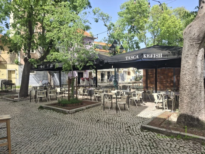 Negócio para Trespasse em União das Freguesias de Setúbal Foto 4