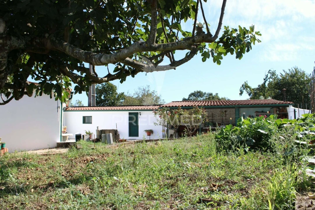 Moradia T3 para Venda em Aguas Belas Foto 13