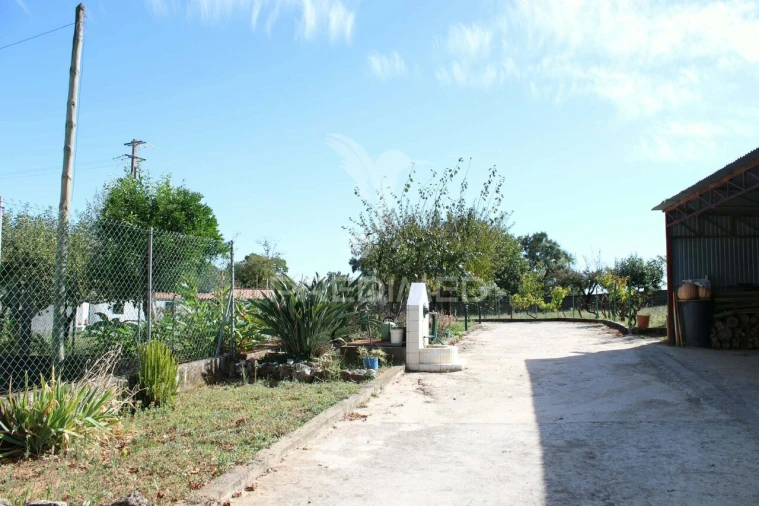 Moradia T3 para Venda em Aguas Belas Foto 22