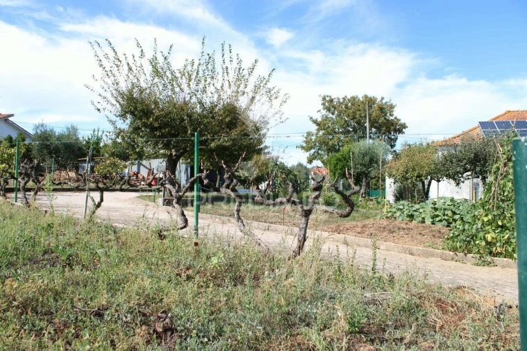 Moradia T3 para Venda em Aguas Belas Foto 10