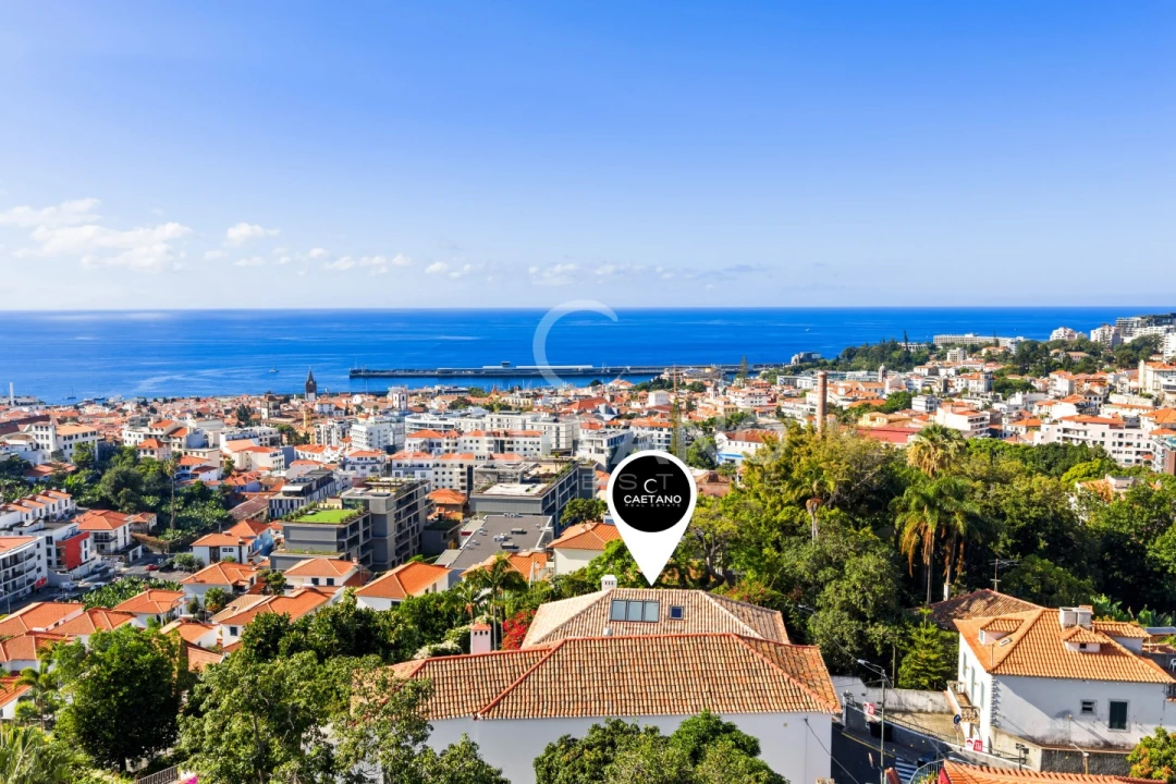 Quinta T13 para Venda em Funchal (Santa Luzia) Foto 17