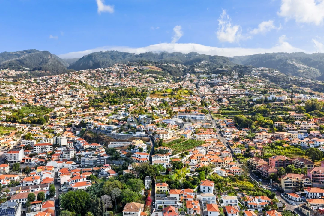 Quinta T13 para Venda em Funchal (Santa Luzia) Foto 28