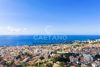 Quinta T13 para Venda em Funchal (Santa Luzia)