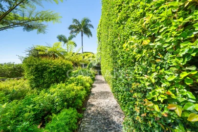 Quinta T13 para Venda em Funchal (Santa Luzia)