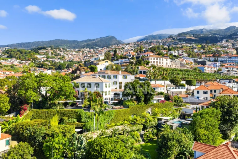 Quinta T13 para Venda em Funchal (Santa Luzia) Foto 10