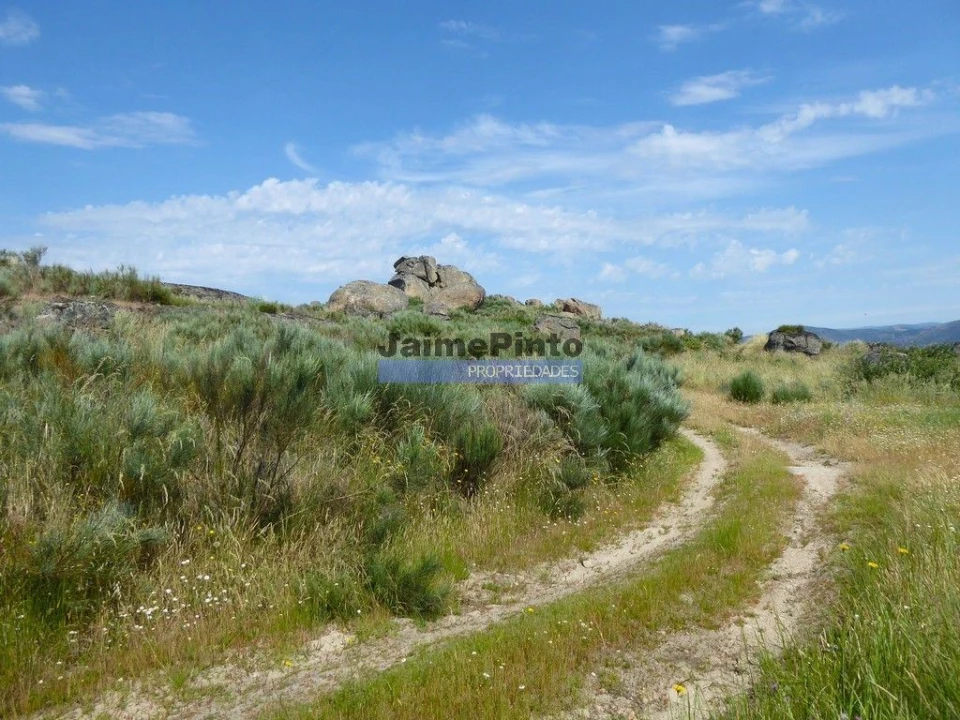 Terreno Misto para Venda em Figueira de Castelo Rodrigo Foto 7