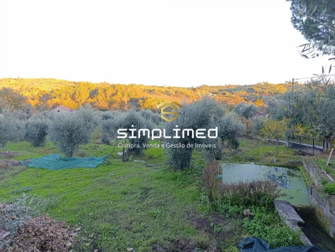 Moradia T3 para Venda em Belmonte e Colmeal da Torre Foto 5