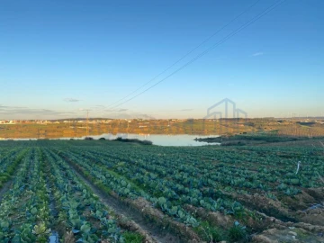 Terreno para Venda em Atouguia da Baleia