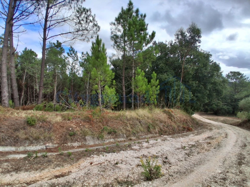 Terreno para Venda em Salir de Matos Foto 2
