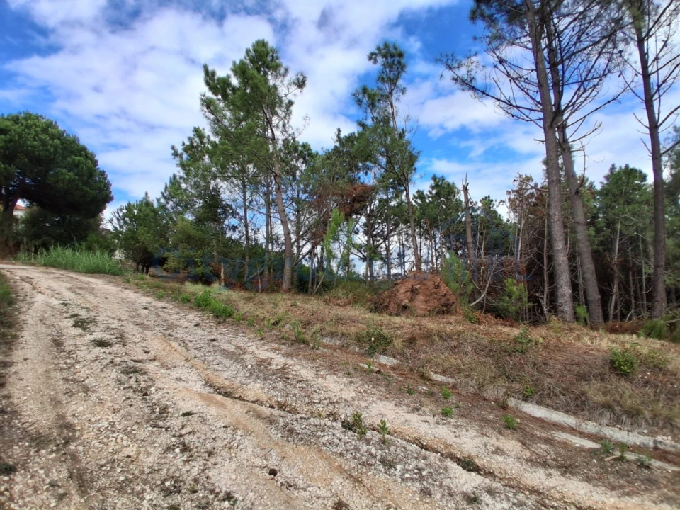 Terreno para Venda em Salir de Matos Foto 7