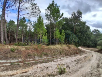 Terreno para Venda em Salir de Matos