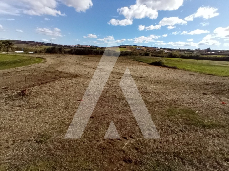 Terreno Agricola ou Rústico para Venda em São Pedro da Cadeira Foto 2