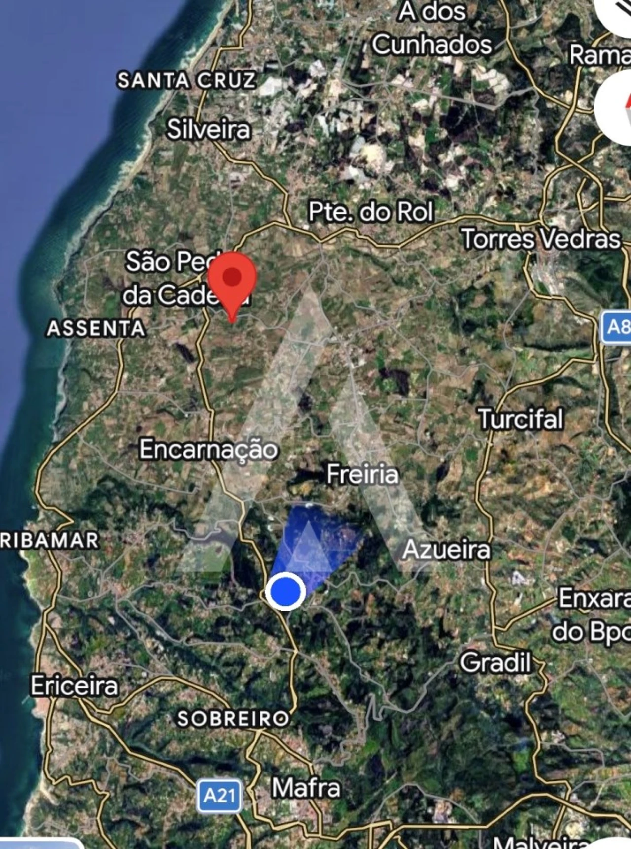 Terreno Agricola ou Rústico para Venda em São Pedro da Cadeira Foto 8
