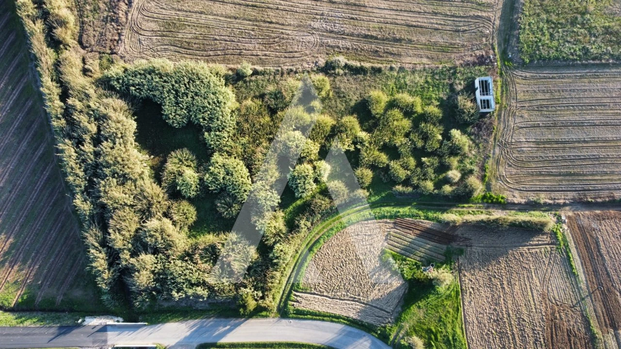 Terreno Agricola ou Rústico para Venda em São Pedro da Cadeira Foto 11