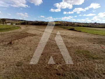 Terreno Agricola ou Rústico para Venda em São Pedro da Cadeira
