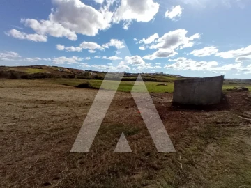 Terreno Agricola ou Rústico para Venda em São Pedro da Cadeira
