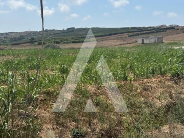 Terreno Agricola ou Rústico para Venda em São Pedro da Cadeira