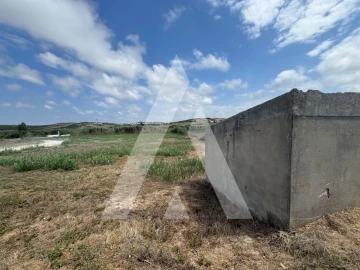 Terreno Agricola ou Rústico para Venda em São Pedro da Cadeira