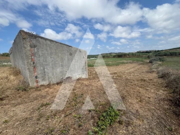 Terreno Agricola ou Rústico para Venda em São Pedro da Cadeira