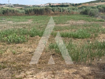 Terreno Agricola ou Rústico para Venda em São Pedro da Cadeira