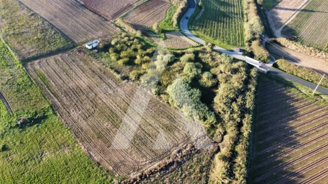 Terreno Agricola ou Rústico para Venda em São Pedro da Cadeira