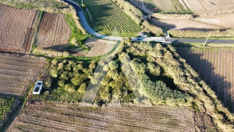 Terreno Agricola ou Rústico para Venda em São Pedro da Cadeira