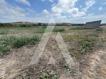Terreno Agricola ou Rústico para Venda em São Pedro da Cadeira