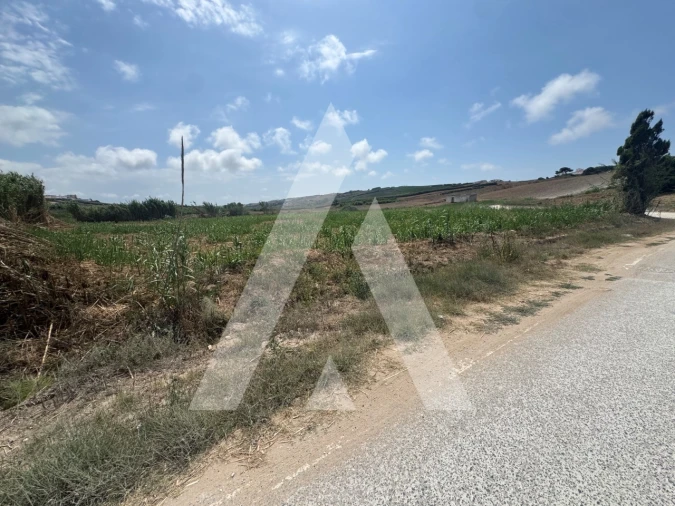 Terreno Agricola ou Rústico para Venda em São Pedro da Cadeira Foto 3