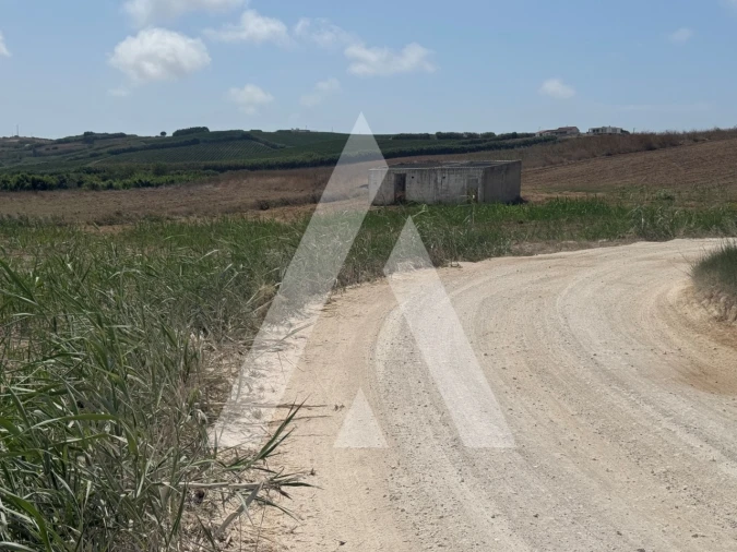 Terreno Agricola ou Rústico para Venda em São Pedro da Cadeira Foto 9