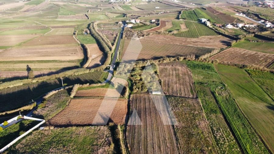Terreno Agricola ou Rústico para Venda em São Pedro da Cadeira Foto 10