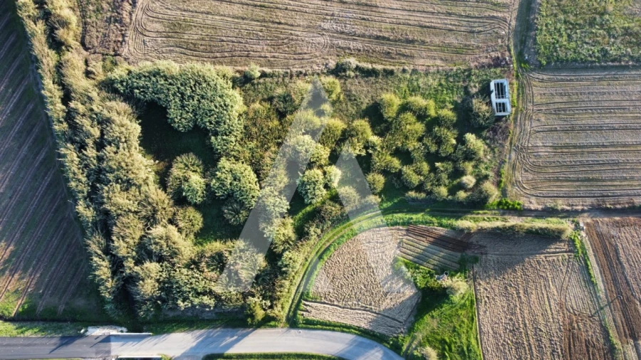 Terreno Agricola ou Rústico para Venda em São Pedro da Cadeira Foto 11