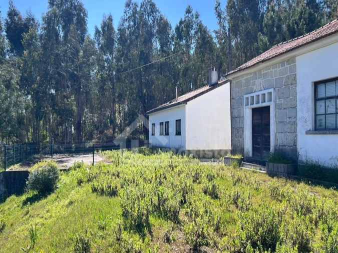 Moradia T1 para Venda em Figueiró dos Vinhos e Bairradas Foto 15