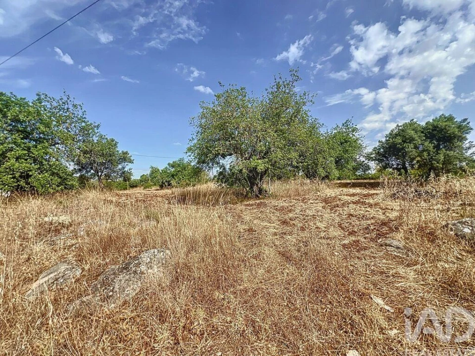 Quinta T3 para Venda em Moncarapacho e Fuseta Foto 30