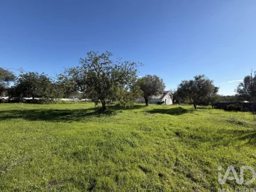 Quinta T3 para Venda em Moncarapacho e Fuseta
