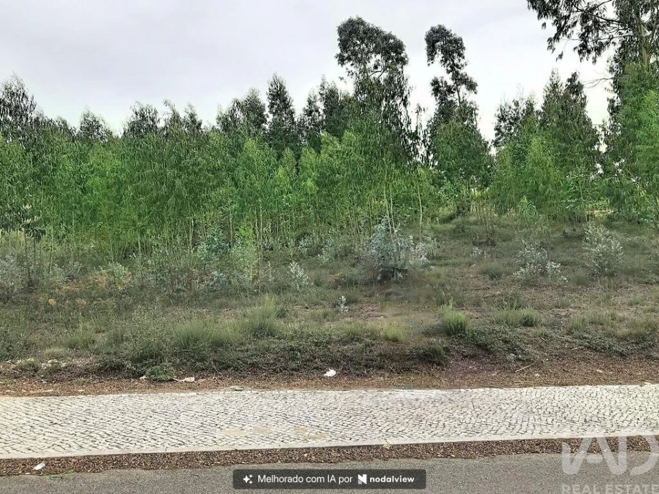 Terreno para Venda em Queluz e Belas Foto 13