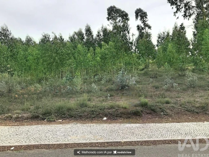 Terreno para Venda em Queluz e Belas Foto 13