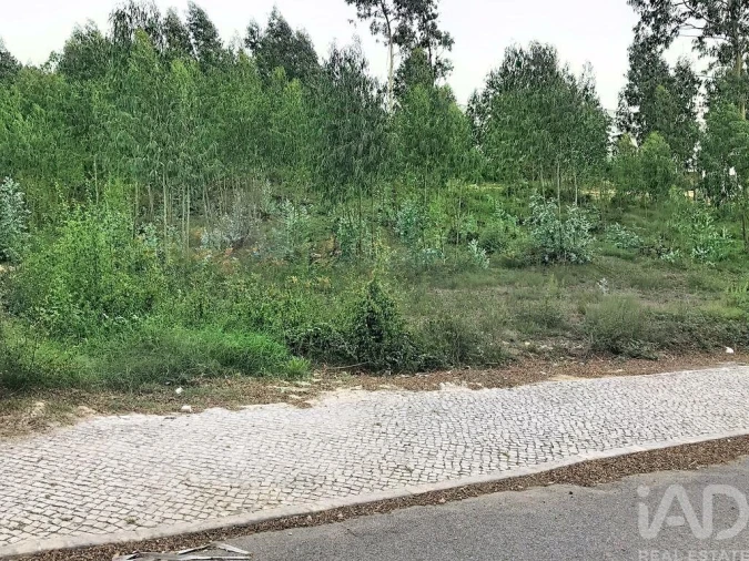 Terreno para Venda em Queluz e Belas Foto 10