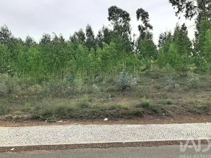 Terreno para Venda em Queluz e Belas Foto 12