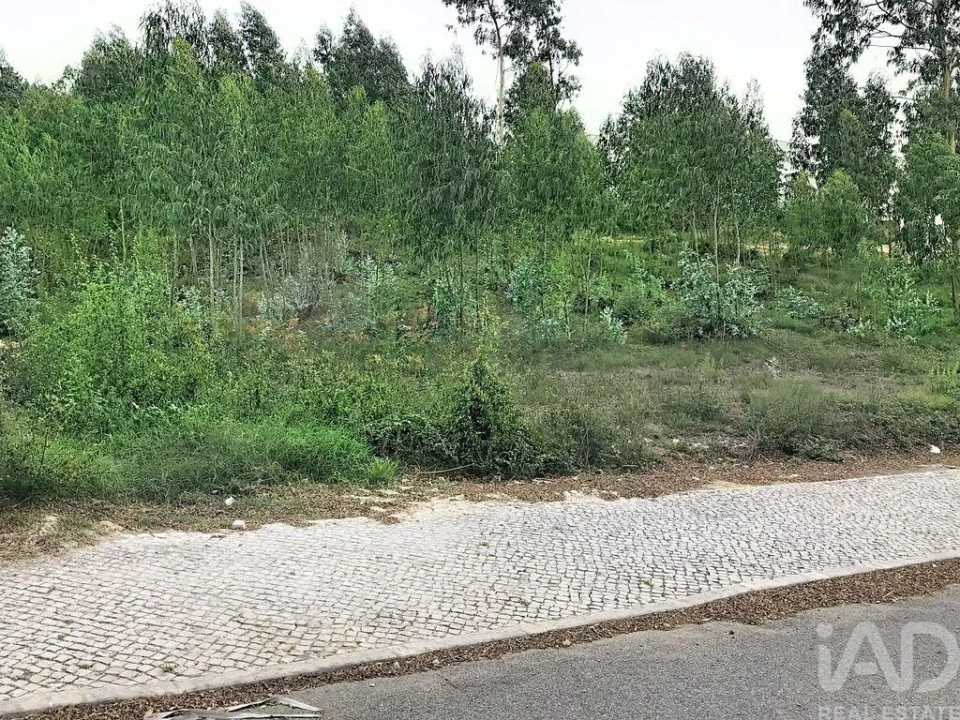 Terreno para Venda em Queluz e Belas Foto 10